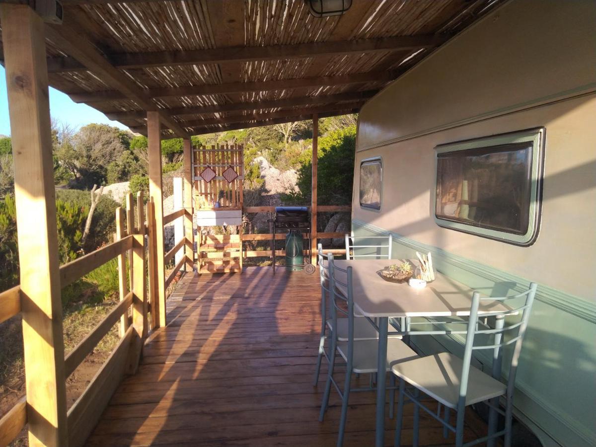 La Cera Farm Camping B&B サンタ・テレーザ・ガッルーラ エクステリア 写真