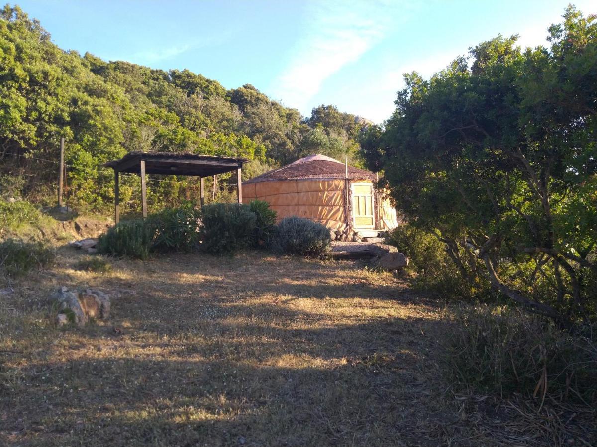 La Cera Farm Camping B&B サンタ・テレーザ・ガッルーラ エクステリア 写真