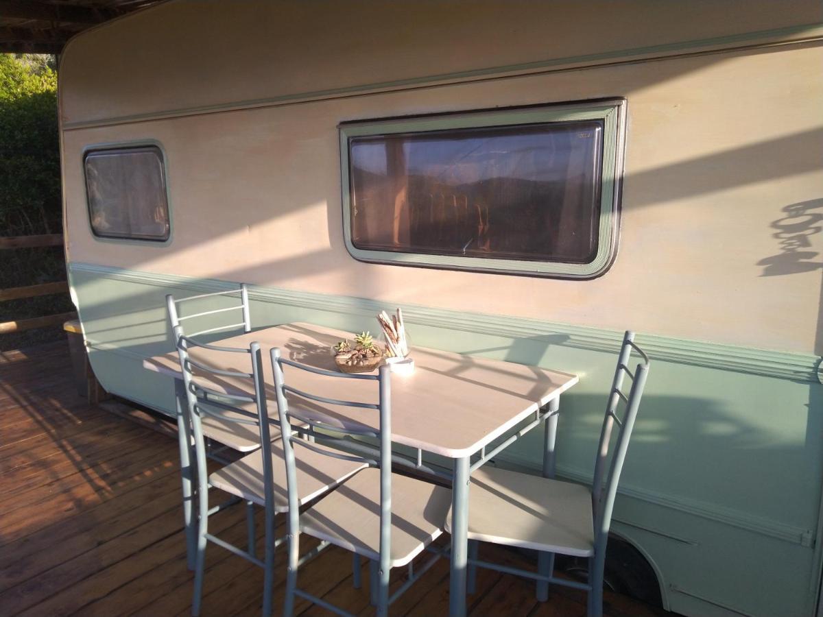 La Cera Farm Camping B&B サンタ・テレーザ・ガッルーラ エクステリア 写真