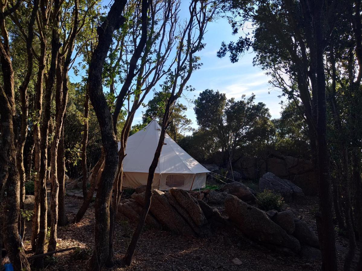 La Cera Farm Camping B&B サンタ・テレーザ・ガッルーラ エクステリア 写真