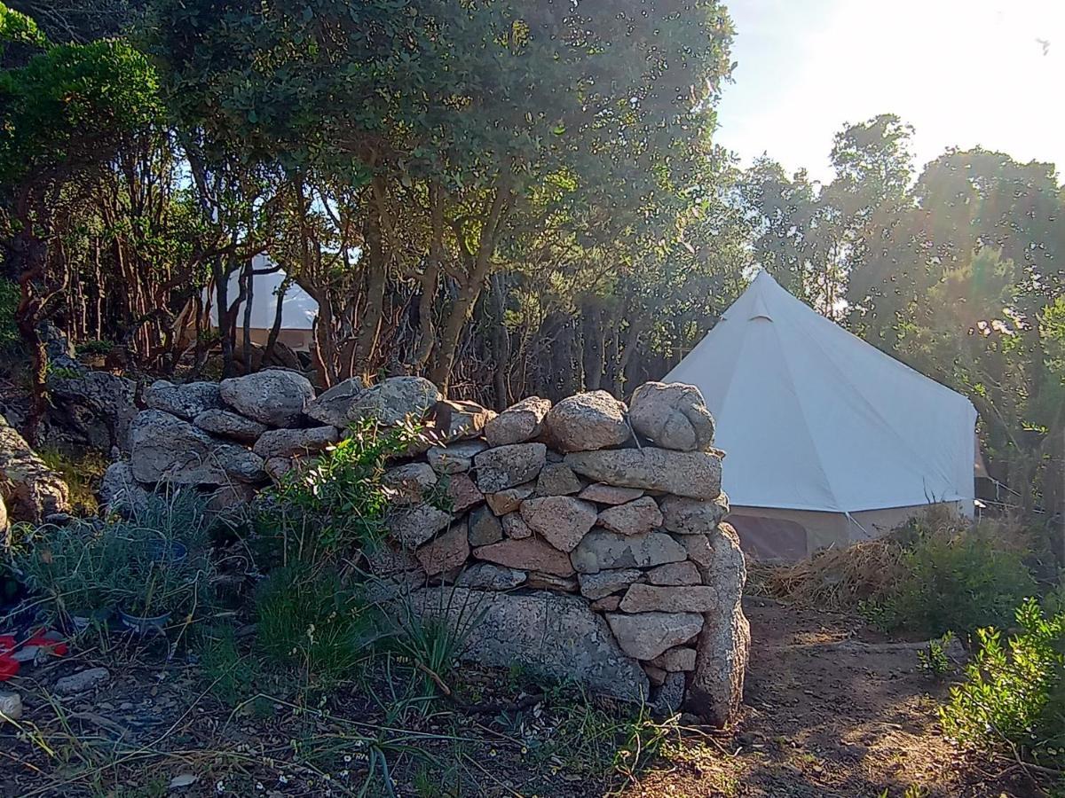 La Cera Farm Camping B&B サンタ・テレーザ・ガッルーラ エクステリア 写真