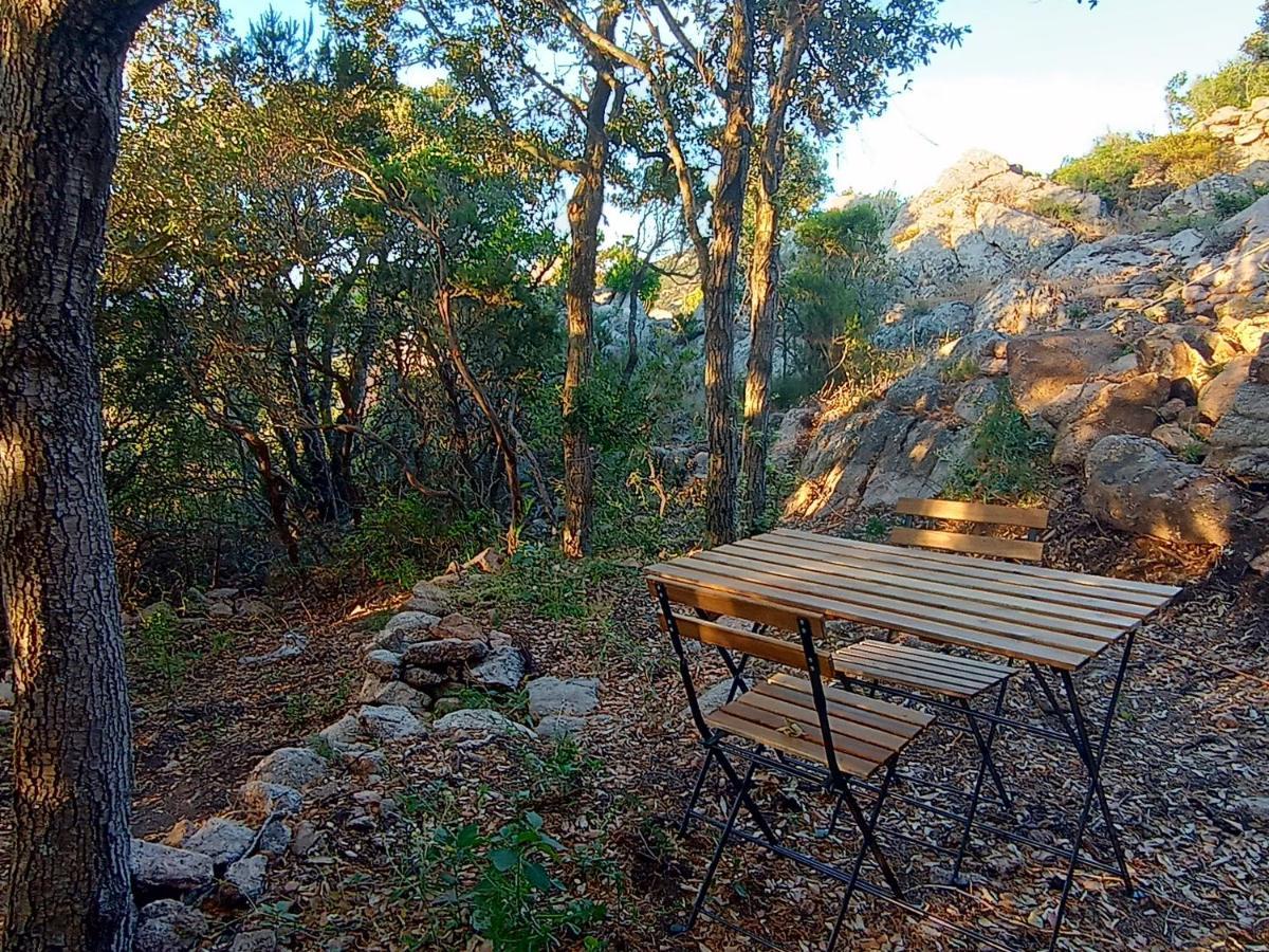 La Cera Farm Camping B&B サンタ・テレーザ・ガッルーラ エクステリア 写真