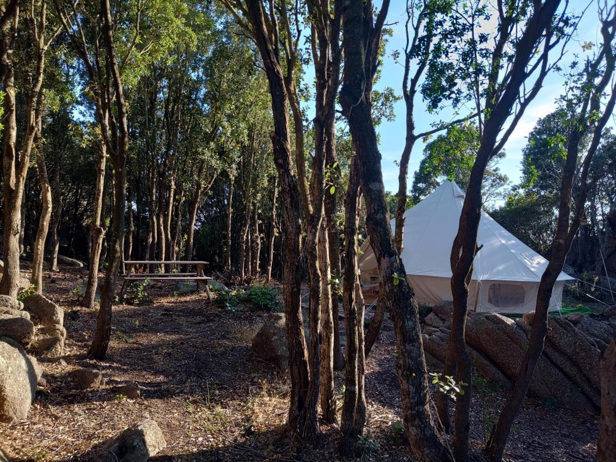 La Cera Farm Camping B&B サンタ・テレーザ・ガッルーラ エクステリア 写真