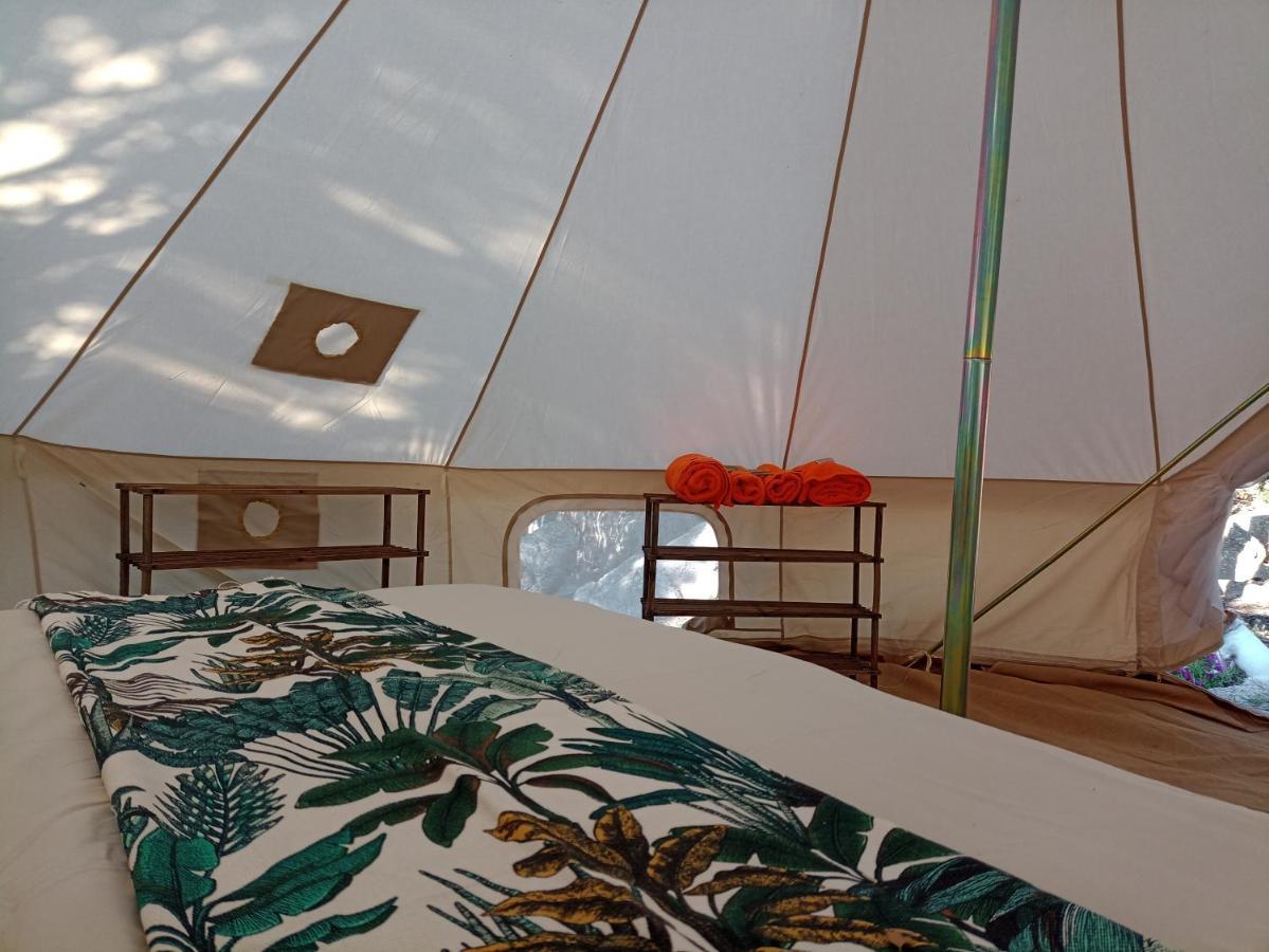 La Cera Farm Camping B&B サンタ・テレーザ・ガッルーラ エクステリア 写真