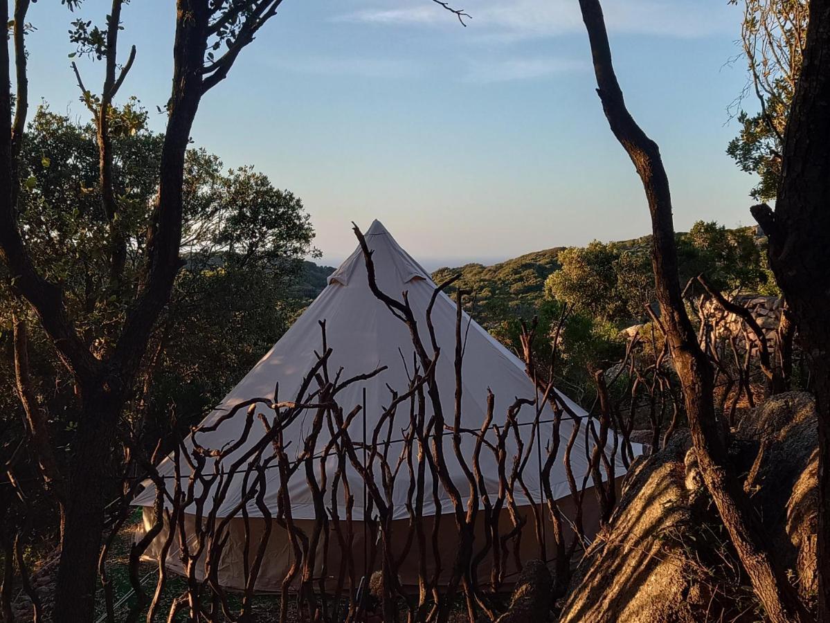 La Cera Farm Camping B&B サンタ・テレーザ・ガッルーラ エクステリア 写真