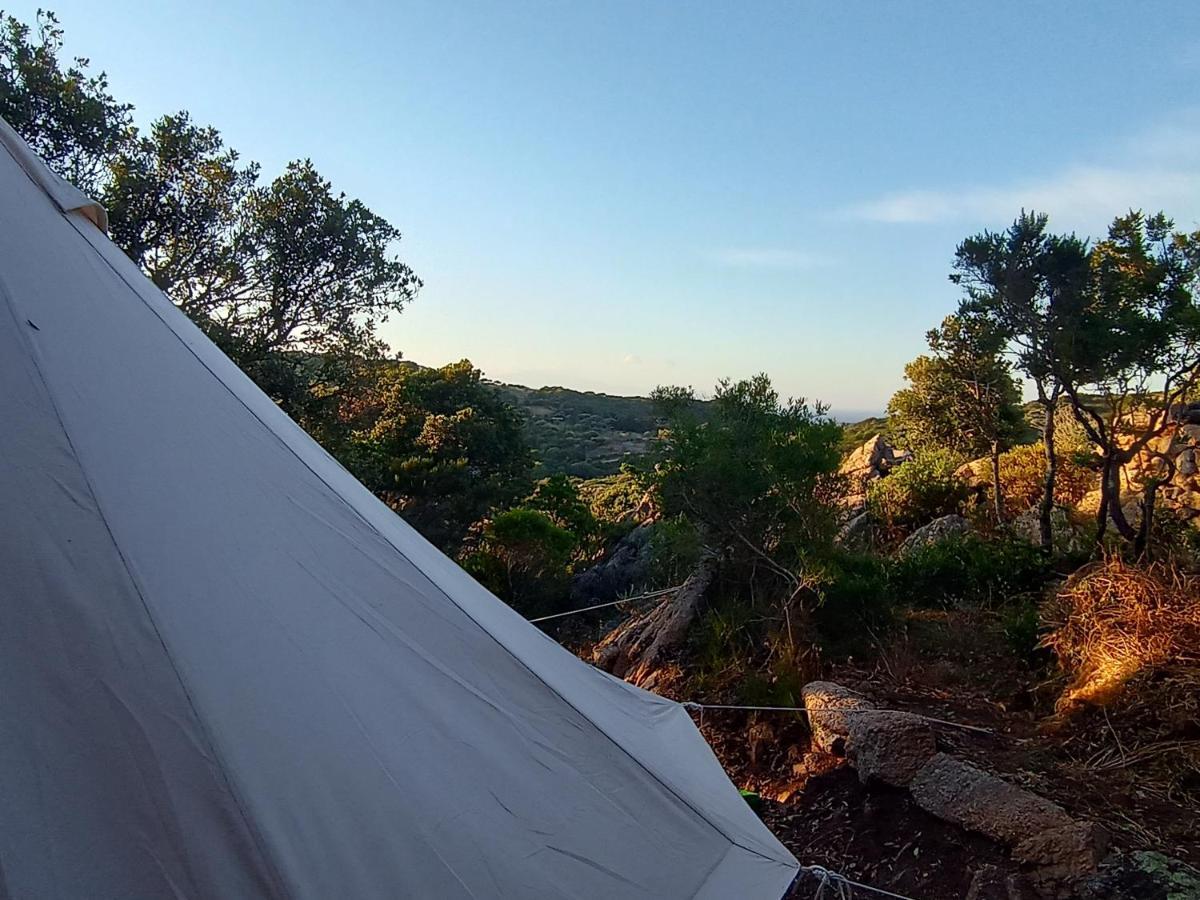 La Cera Farm Camping B&B サンタ・テレーザ・ガッルーラ エクステリア 写真
