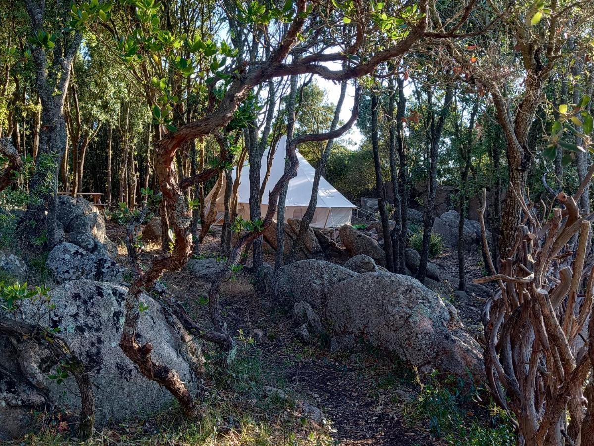 La Cera Farm Camping B&B サンタ・テレーザ・ガッルーラ エクステリア 写真