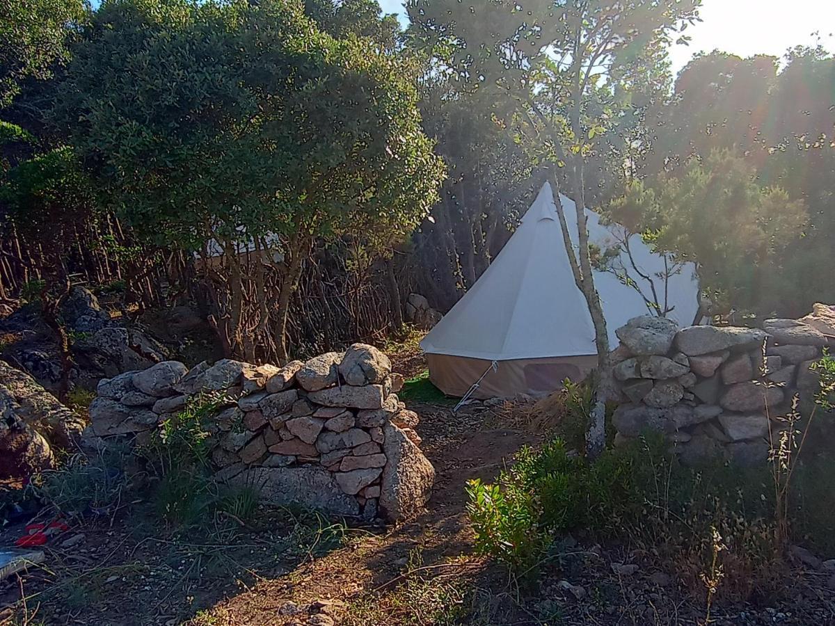 La Cera Farm Camping B&B サンタ・テレーザ・ガッルーラ エクステリア 写真