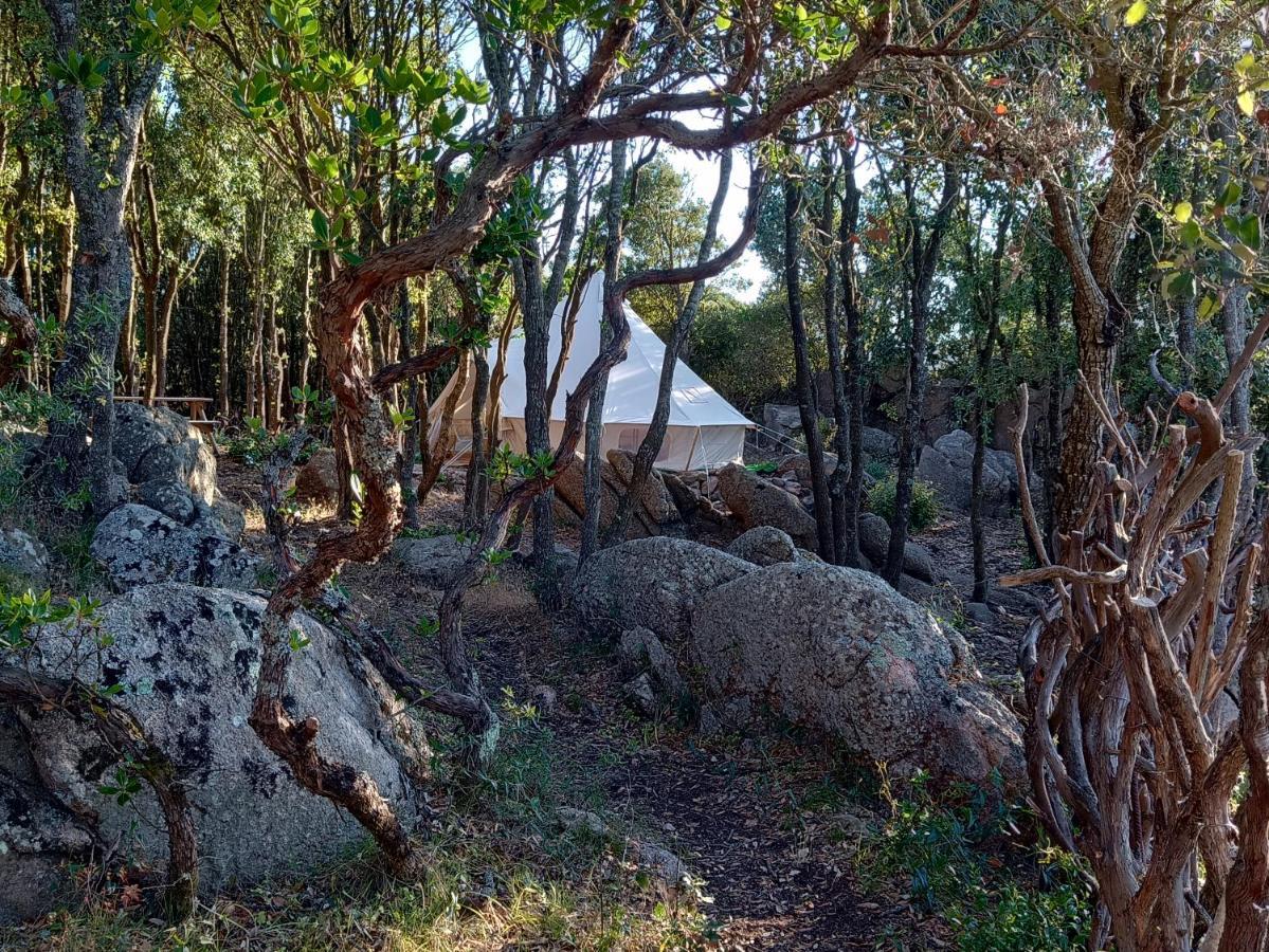 La Cera Farm Camping B&B サンタ・テレーザ・ガッルーラ エクステリア 写真