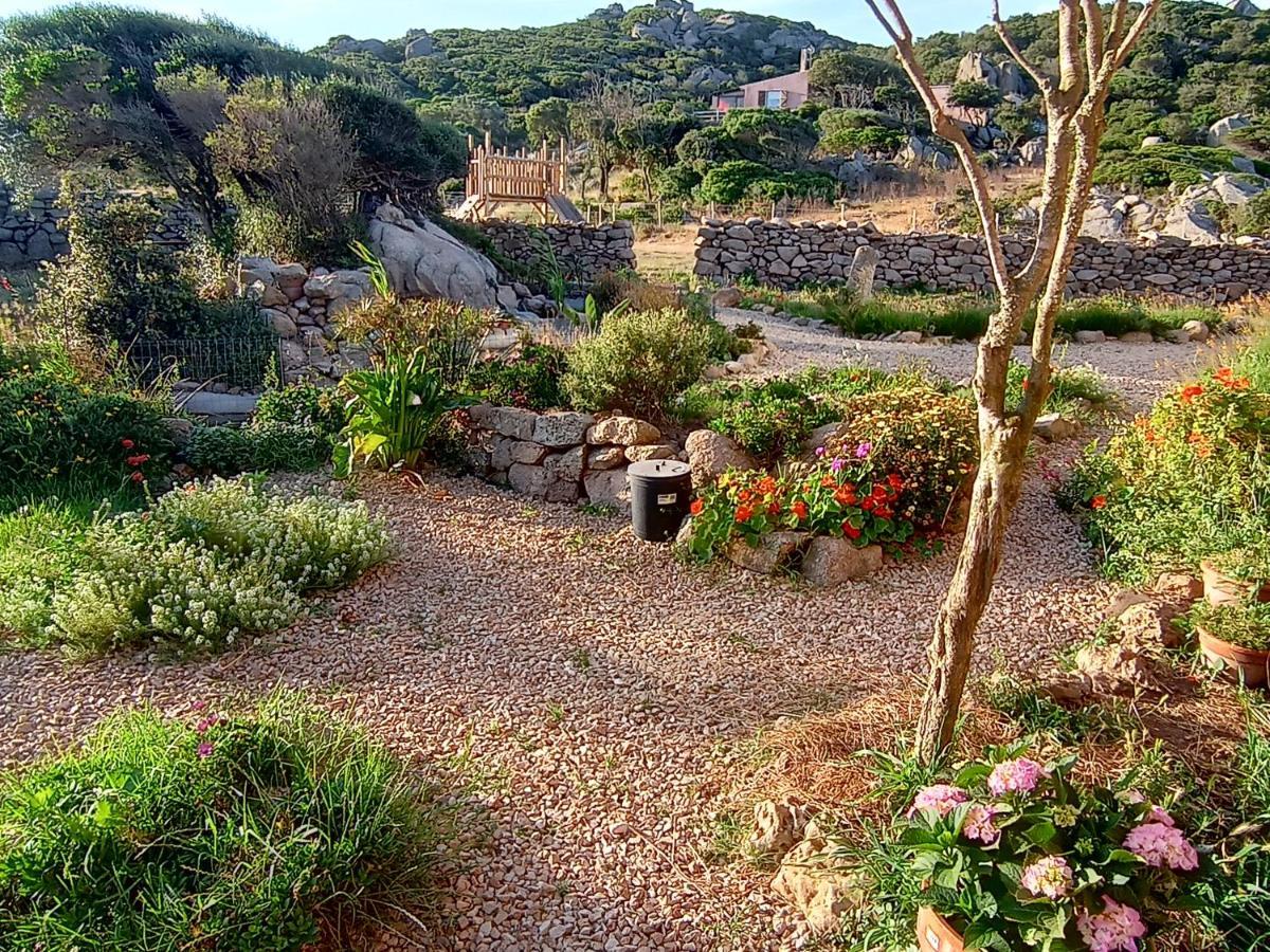 La Cera Farm Camping B&B サンタ・テレーザ・ガッルーラ エクステリア 写真
