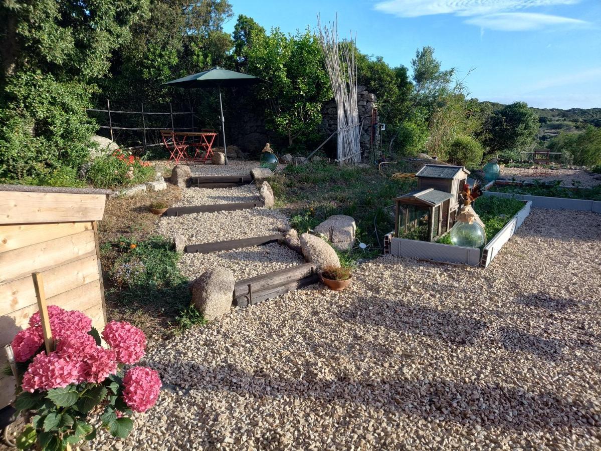 La Cera Farm Camping B&B サンタ・テレーザ・ガッルーラ エクステリア 写真