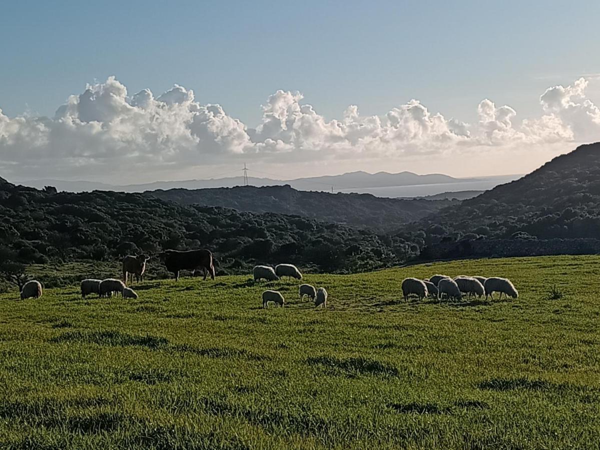 La Cera Farm Camping B&B サンタ・テレーザ・ガッルーラ エクステリア 写真