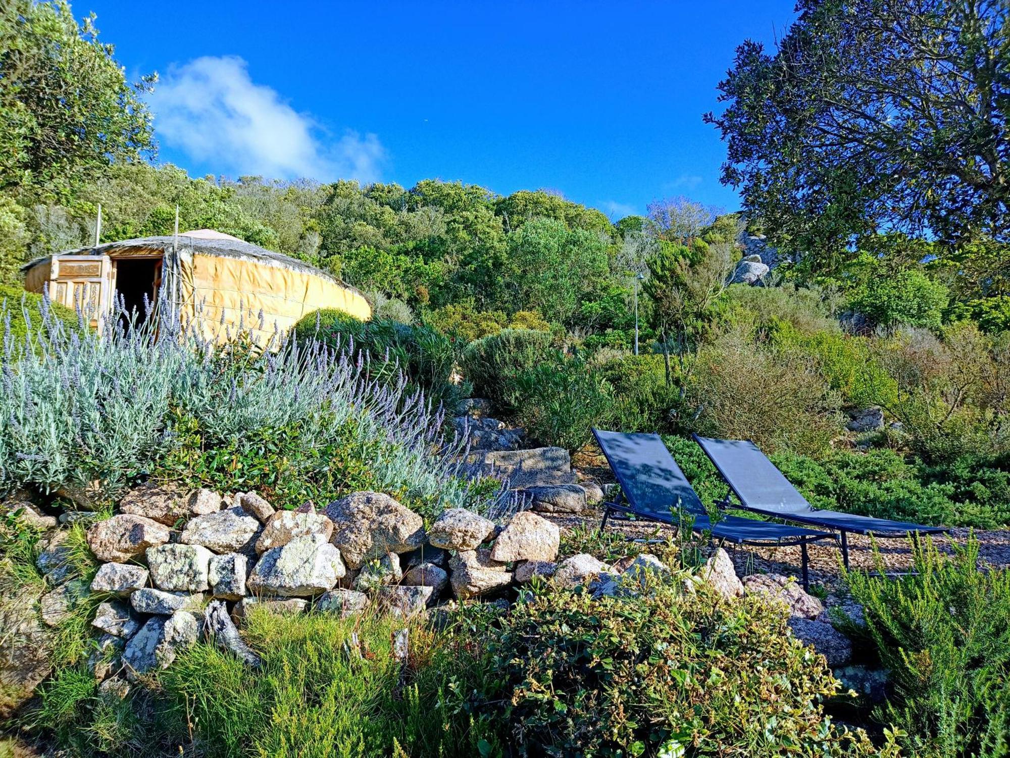 La Cera Farm Camping B&B サンタ・テレーザ・ガッルーラ エクステリア 写真