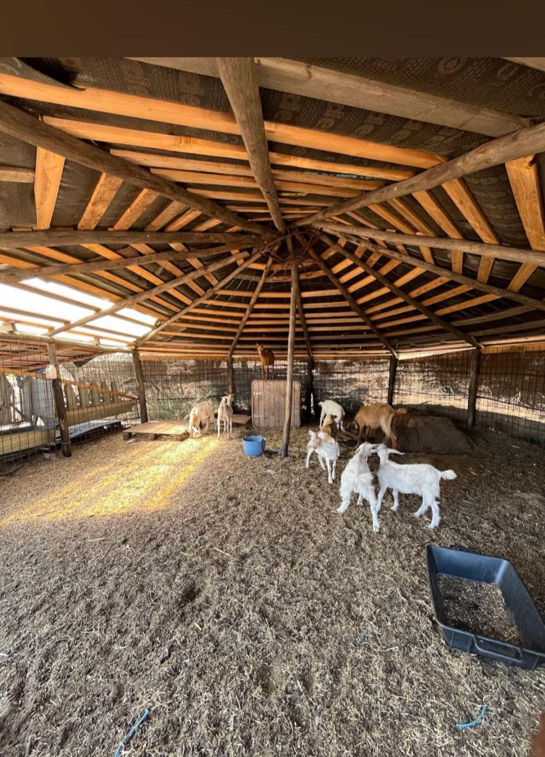 La Cera Farm Camping B&B サンタ・テレーザ・ガッルーラ エクステリア 写真